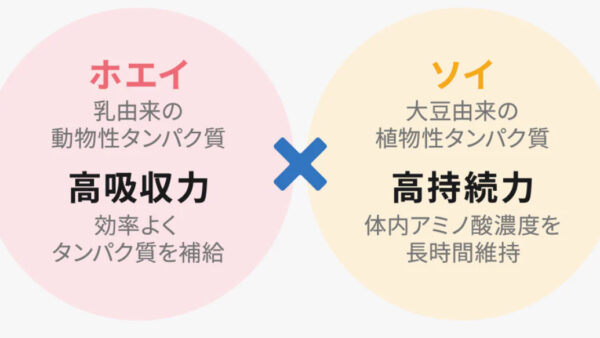 ソイプロテインとホエイプロテインどちらが良いのか？
